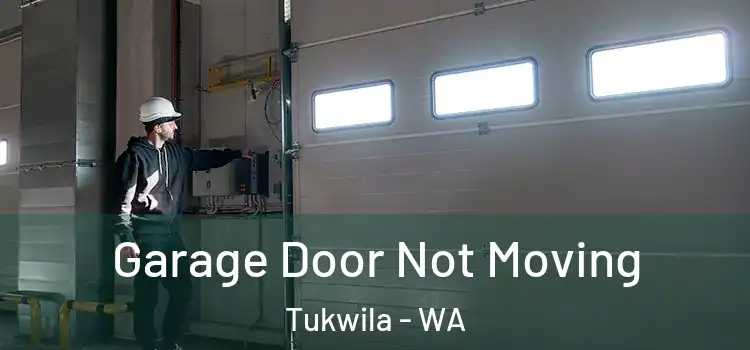 Garage Door Not Moving Tukwila - WA
