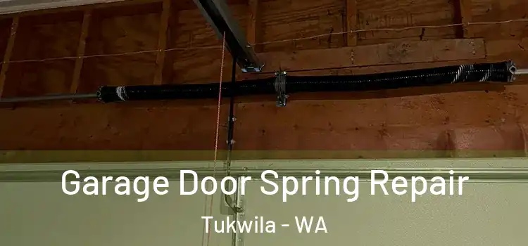  Garage Door Spring Repair Tukwila - WA
