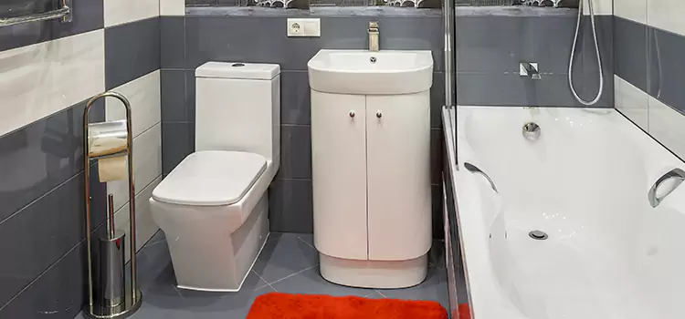 Hansgrohe Shaving Mirror Tukwila